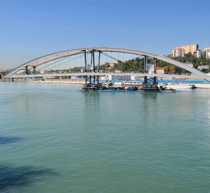 Raymond Barre Bridge 